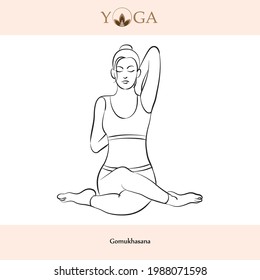 yoga asana poses with names vector illustration