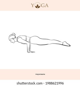 yoga asana poses with names vector illustration