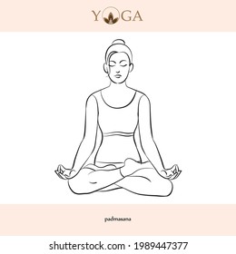 Yoga Asana Poses Names Vector Illustration Stock Vector (royalty Free 