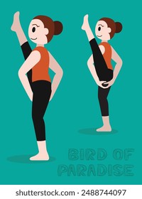 Yoga Bird of Paradise Svarga Dvijasana Cartoon Vector Illustration