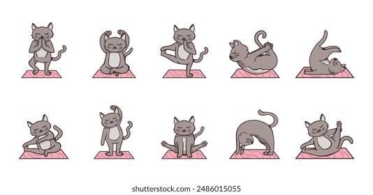 Yoga Cat Illustration Set Collection