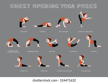 Ilustración vectorial de los polos de apertura del torso de yoga