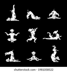 The yoga dog is doing exercises. Set of yoga asanas.