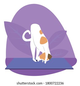 Yoga and dog jack russell terrier. Dog doing asana yoga posture. Children's yoga sports and meditation concept. Flat vector stock illustration with character leaning down.