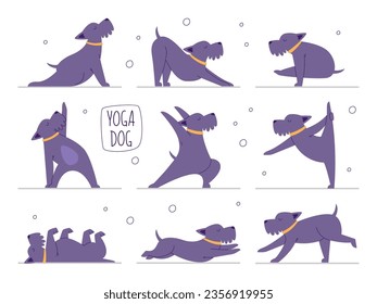 Yoga dog pet set. Cute domestic animal doing fitness exercise body sport training vector illustration. Funny puppy standing in different pose practicing asana, enjoying gymnastics and meditation