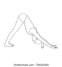 Yoga Dog pose. Sketch of woman on white background 