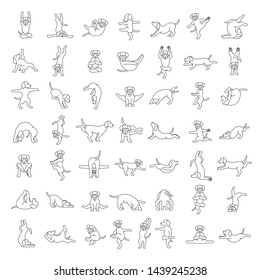 Yoga dog poses and exercises clipart. Funny cartoon simple linear poster design. Vector illustration