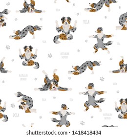 Yoga dogs poses and exercises. Australian Shepherd clipart. Vector illustration