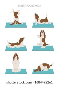 Yoga dogs poses and exercises. Basset hound clipart. Vector illustration