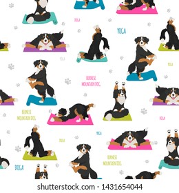 Yoga dogs poses and exercises. Bernese mountain dog seamless pattern. Vector illustration