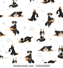 Yoga dogs poses and exercises. Bernese mountain dog seamless pattern. Vector illustration