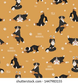 Yoga dogs poses and exercises. Bernese mountain dog seamless pattern. Vector illustration