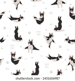 Yoga dogs poses and exercises. Boston terrier  seamless pattern. Vector illustration