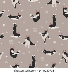 Yoga dogs poses and exercises. Boston terrier  seamless pattern. Vector illustration