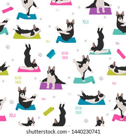 Yoga dogs poses and exercises. Boston terrier  seamless pattern. Vector illustration