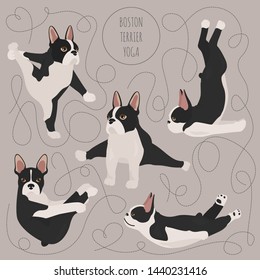 Yoga dogs poses and exercises. Boston terrier  seamless pattern. Vector illustration