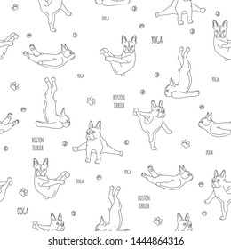 Yoga dogs poses and exercises. Boston terrier linear seamless pattern. Vector illustration