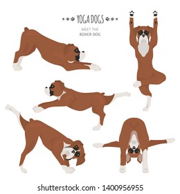 Yoga dogs poses and exercises. Boxer dog clipart. Vector illustration