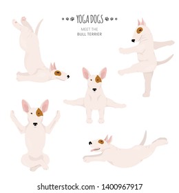 Yoga dogs poses and exercises. Bull terrier clipart. Vector illustration
