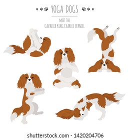 Yoga dogs poses and exercises. Cavalier King Charles spaniel clipart. Vector illustration