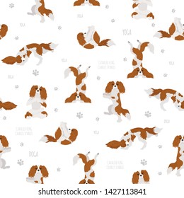 Yoga dogs poses and exercises. Cavalier King Charles spaniel seamless pattern. Vector illustration