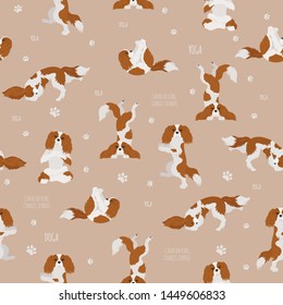 Yoga dogs poses and exercises. Cavalier King Charles spaniel seamless pattern. Vector illustration