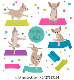 Yoga dogs poses and exercises. Chihuahua clipart. Vector illustration