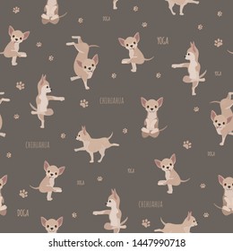 Yoga dogs poses and exercises. Chihuahua seamless pattern. Vector illustration