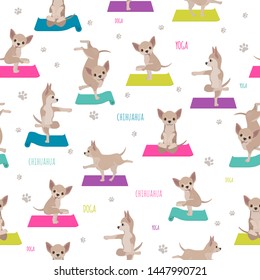 Yoga dogs poses and exercises. Chihuahua seamless pattern. Vector illustration