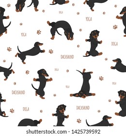 Yoga dogs poses and exercises. Dachshund seamless pattern. Vector illustration