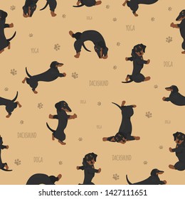 Yoga dogs poses and exercises. Dachshund seamless pattern. Vector illustration