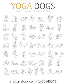 Yoga dogs poses and exercises doing clipart. Funny cartoon simple linear poster design. Vector illustration