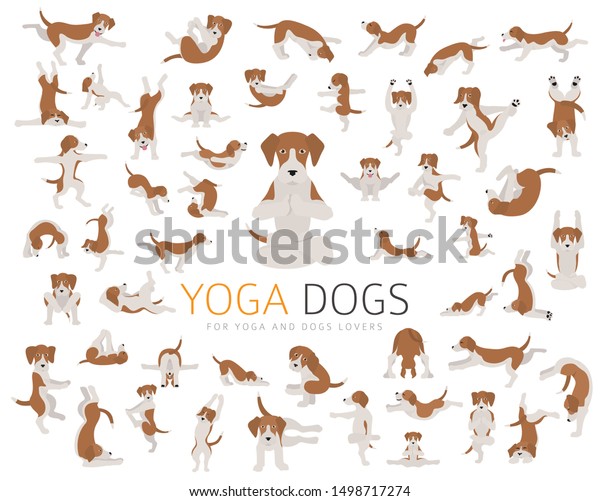 Yoga Dogs Poses Exercises Doing Clipart Stock Vector (Royalty Free ...