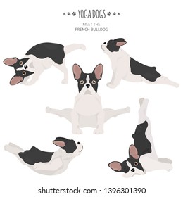 Yoga dogs poses and exercises. French bulldog clipart. Vector illustration