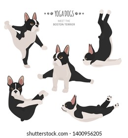 Yoga dogs poses and exercises. French bulldog  clipart. Vector illustration