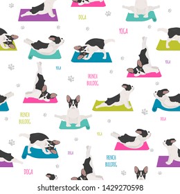 Yoga dogs poses and exercises. French bulldog seamless pattern. Vector illustration