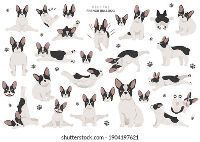 Yoga dogs poses and exercises. French bulldog clipart. Vector illustration