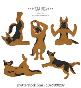 Yoga dogs poses and exercises. German shepherd clipart. Vector illustration