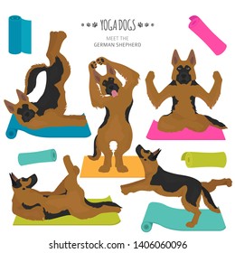 Yoga dogs poses and exercises. German shepherd clipart. Vector illustration