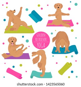 Yoga dogs poses and exercises. Golden retriever clipart. Vector illustration