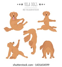 Yoga dogs poses and exercises. Golden retriever clipart. Vector illustration