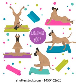 Yoga dogs poses and exercises. Great dane clipart. Vector illustration