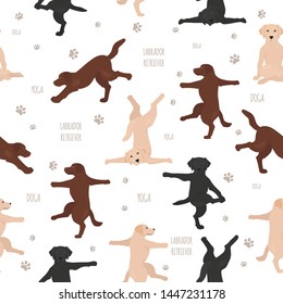 Yoga dogs poses and exercises. Labrador retriever seamless pattern. Vector illustration