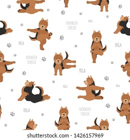 Yoga dogs poses and exercises. Norwich terrier seamless pattern. Vector illustration