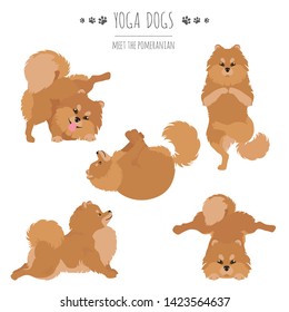 Yoga dogs poses and exercises. Pomeranian clipart. Vector illustration