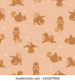 Yoga dogs poses and exercises. Pomeranian seamless pattern. Vector illustration