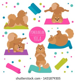 Yoga dogs poses and exercises. Pomeranian clipart. Vector illustration