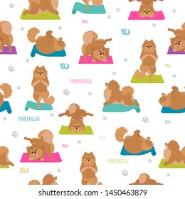 Yoga dogs poses and exercises. Pomeranian seamless pattern. Vector illustration