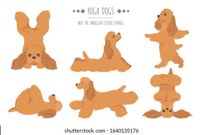 Yoga dogs poses and exercises poster design. American cocker spaniel clipart. Vector illustration