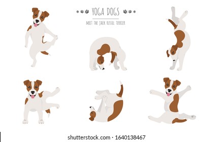 Yoga dogs poses and exercises poster design. Jack Russel terrier clipart. Vector illustration